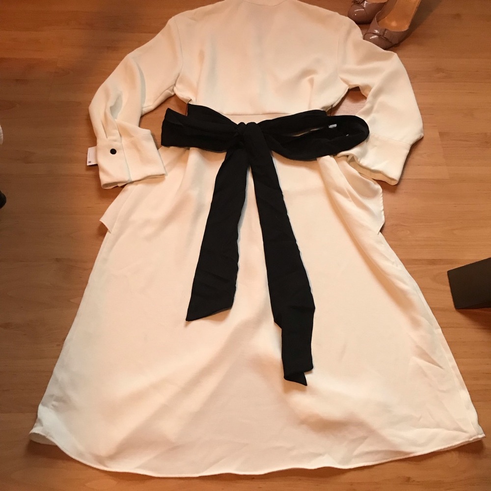 NWT Zara contrast belt dress - Picture 8 of 8